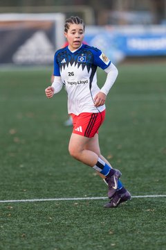 Bild 392 - wBJ Hamburger SV - Holstein Kiel : Ergebnis: 8:0